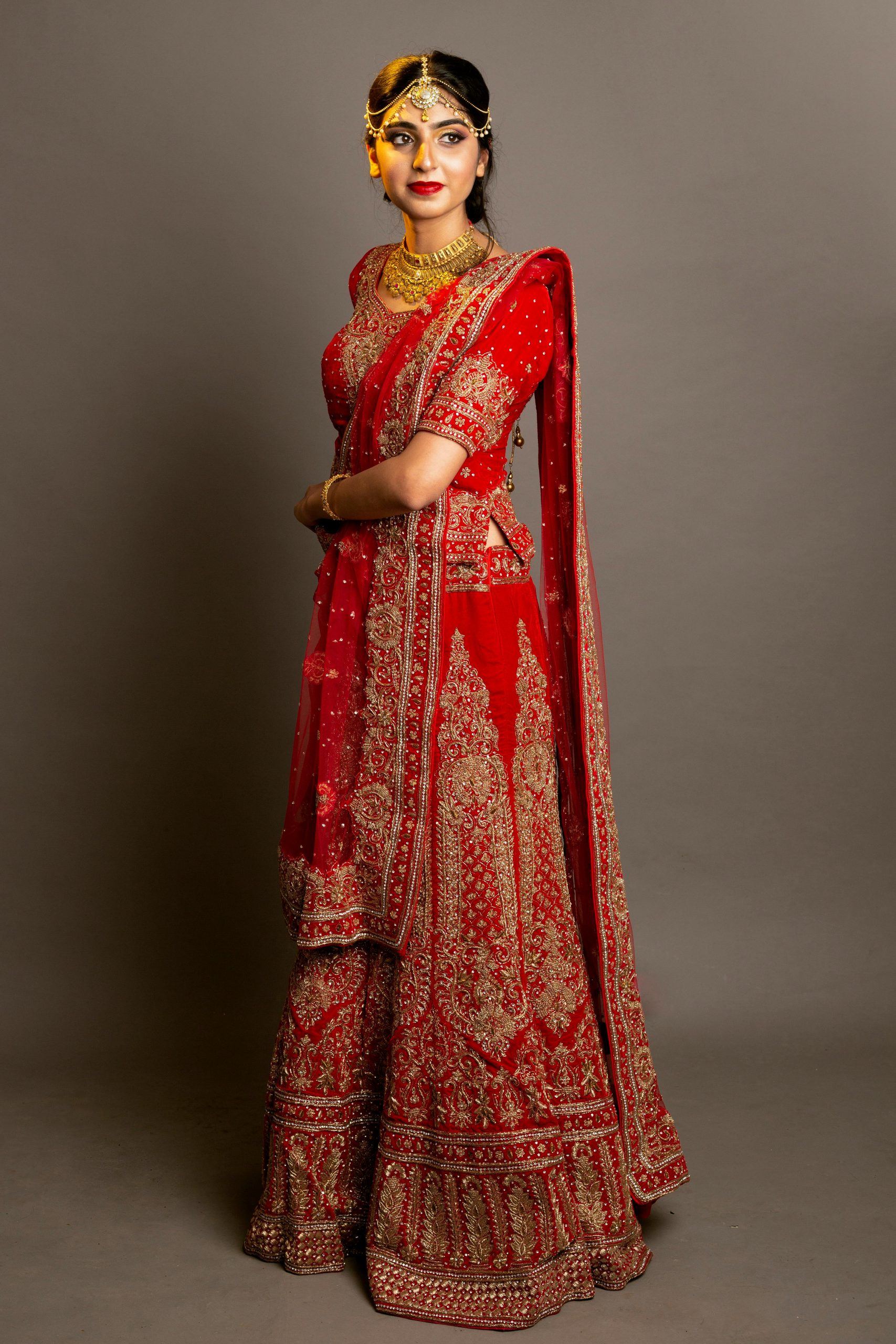 Elegant portrait of a woman in traditional Indian red saree with golden jewelry, showcasing cultural heritage.